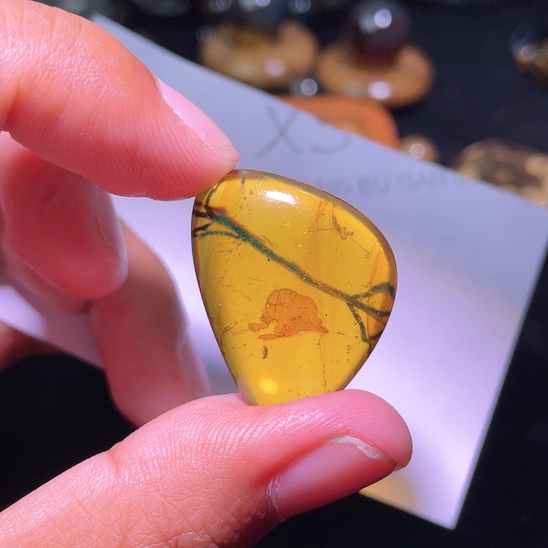 琥珀裸石未镶嵌，