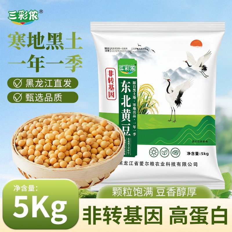 【 感恩回馈 当季新豆  】十斤东北黄豆打豆浆豆颗粒饱满圆润