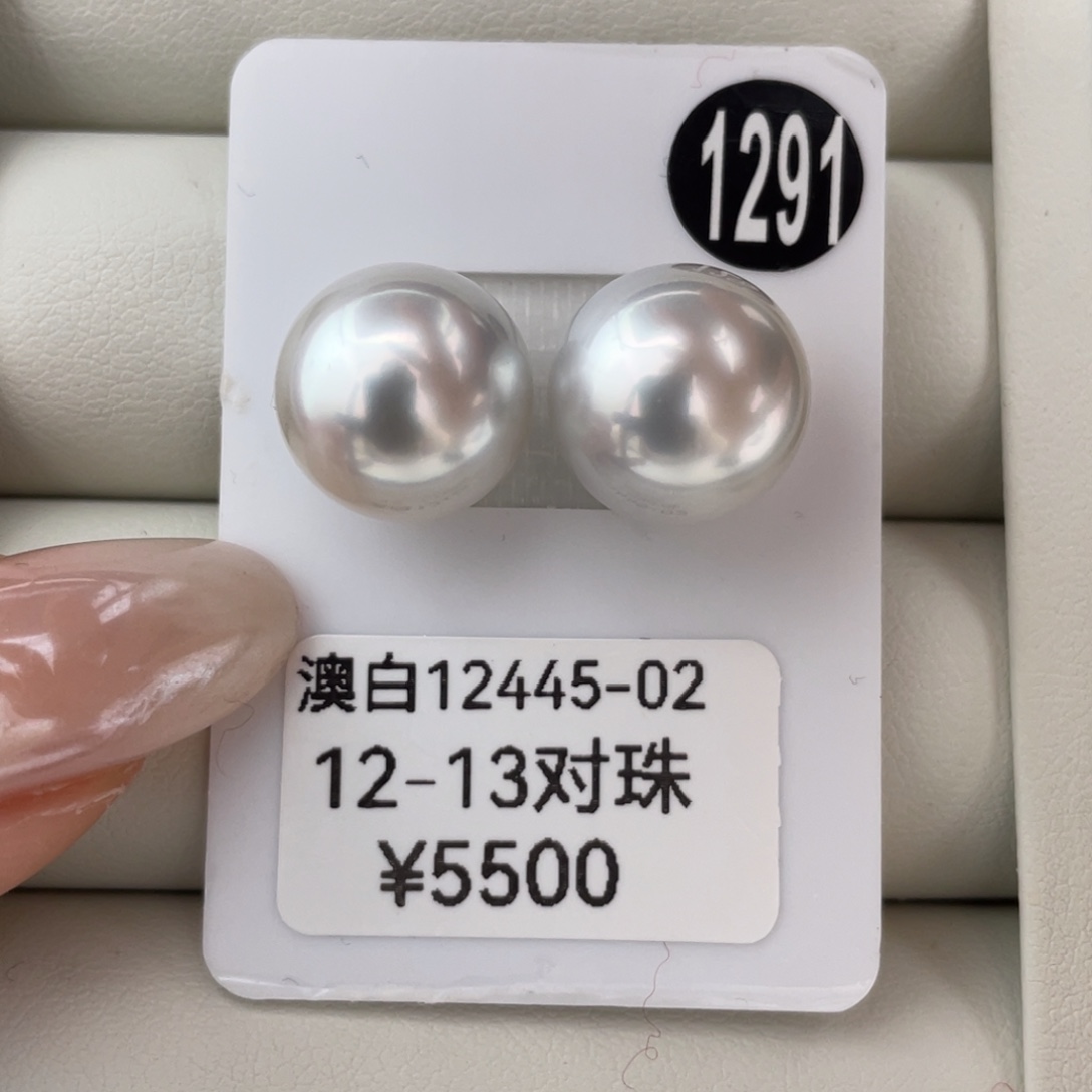 定制海水珍珠未镶嵌耳饰澳白12-13mm
