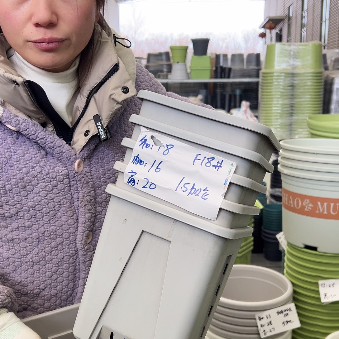 瑕疵方盆F18灰白5个无托