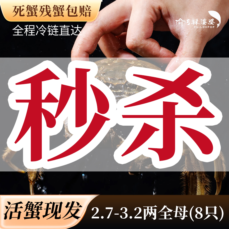 【活蟹】大闸蟹全母3.2-2.7两8只【福利二】