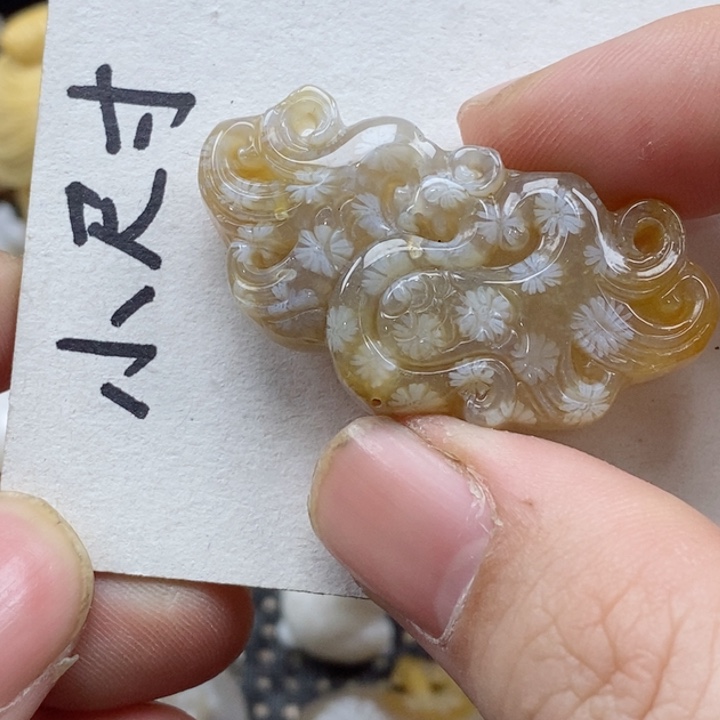 颈饰未镶嵌硅化珊瑚（珊瑚玉）