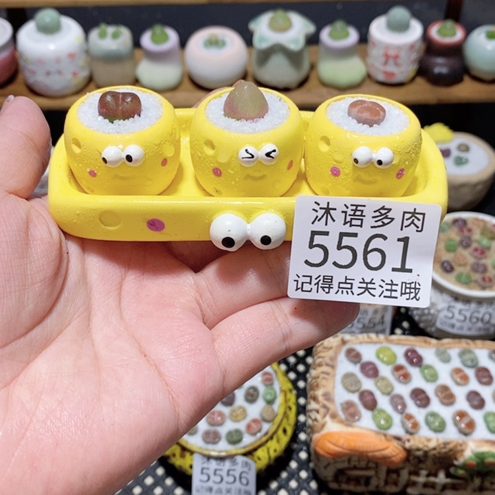 小***怂带盆土植物 一物一拍5561