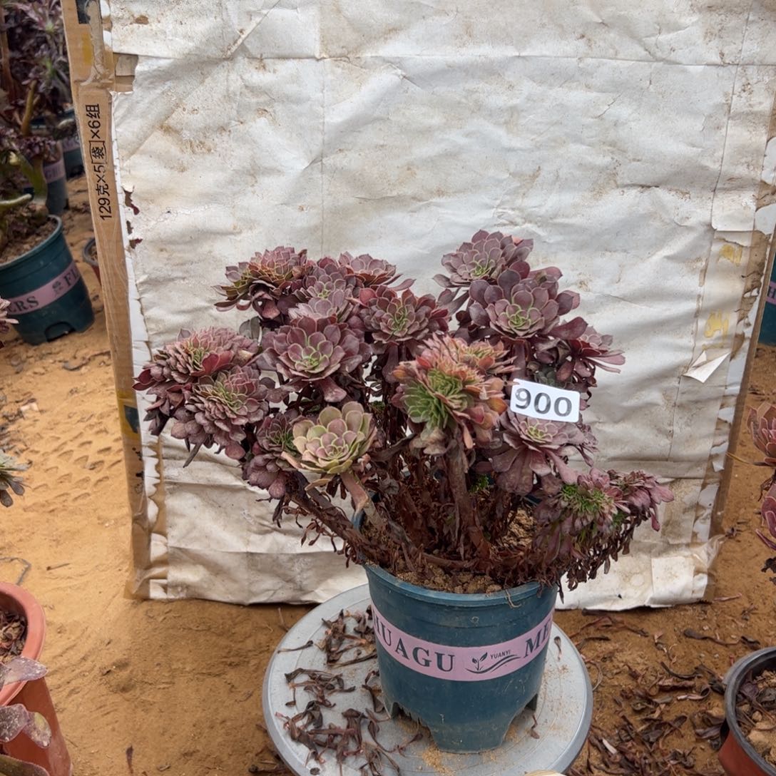 有伤铜壶900满28包邮