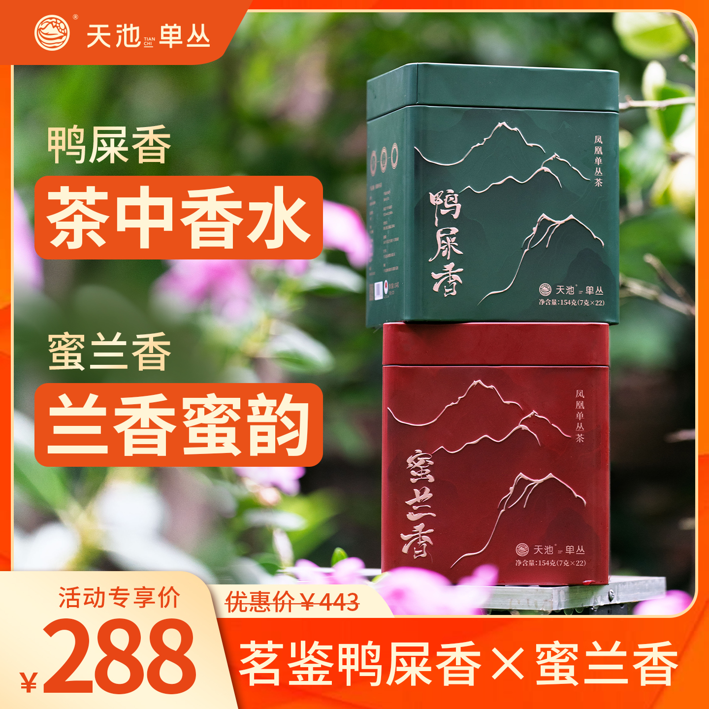 天池单丛凤凰单枞茶单丛茶鸭屎香蜜兰香泡包品鉴装茗鉴系列