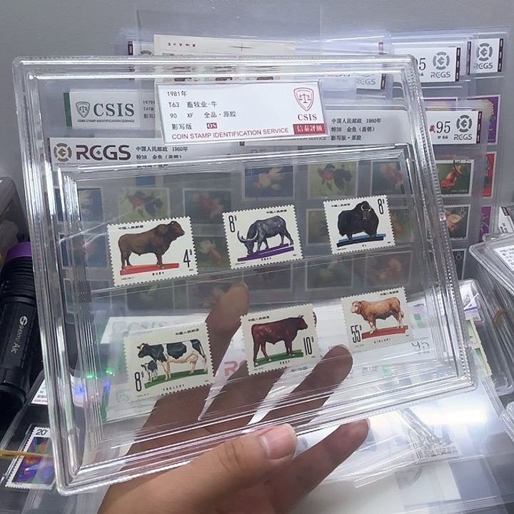 T63套票信泰90OS盒子