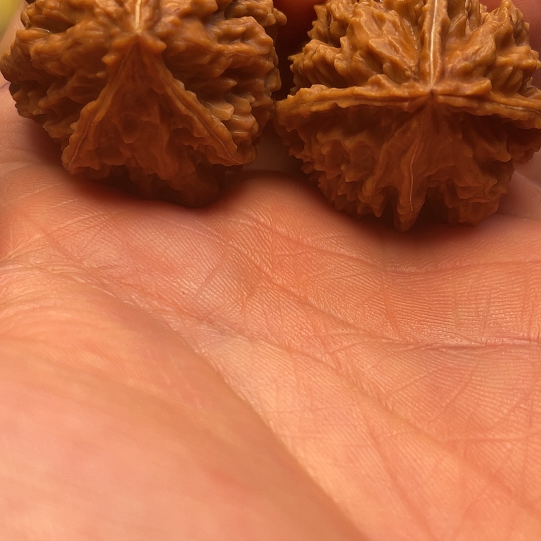 吊坠猴头核桃一生一世文玩核桃8号