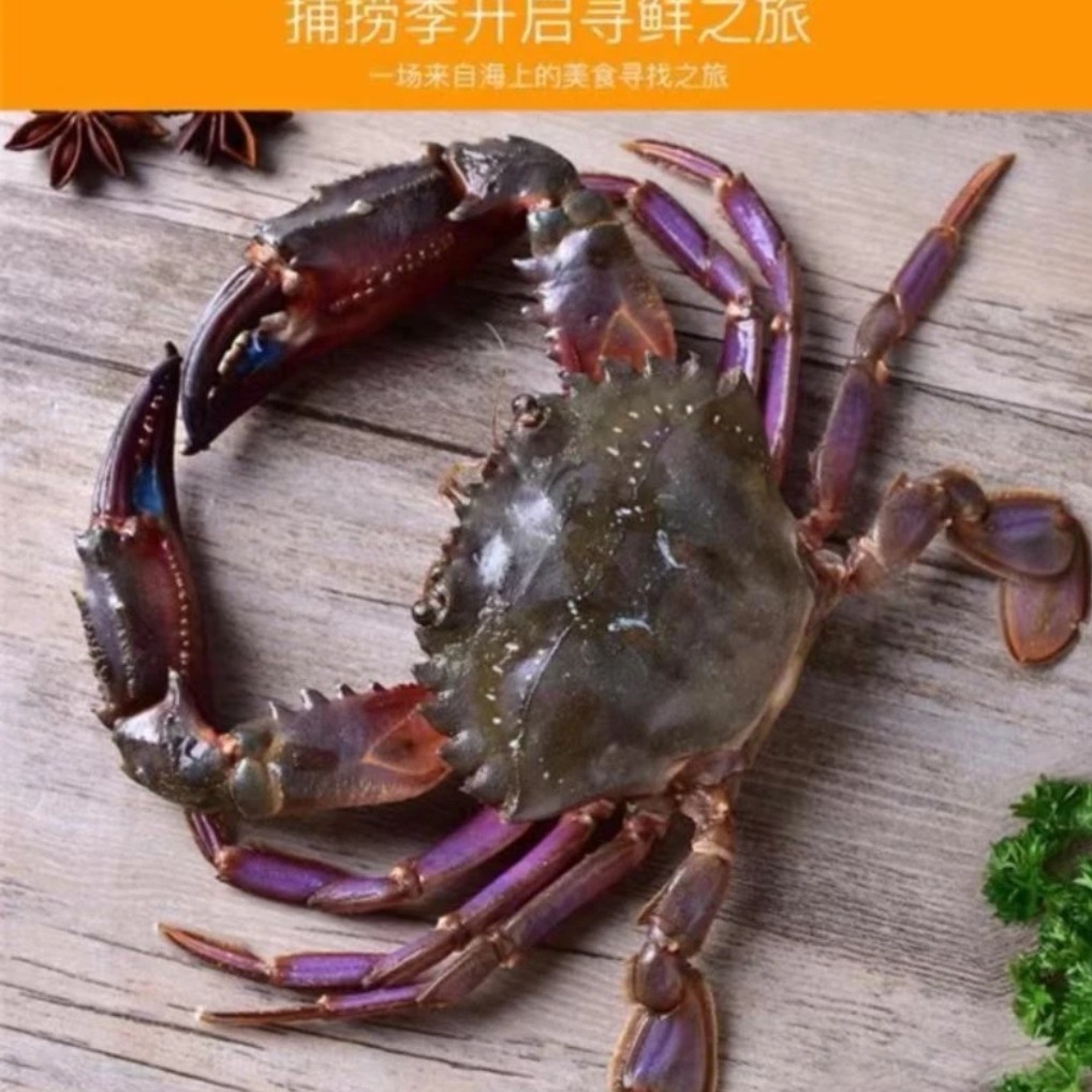 东港   赤甲红3斤【保鲜不保活】