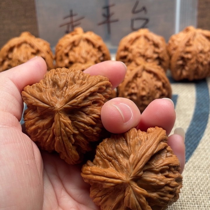 -***-核桃白狮子43核桃