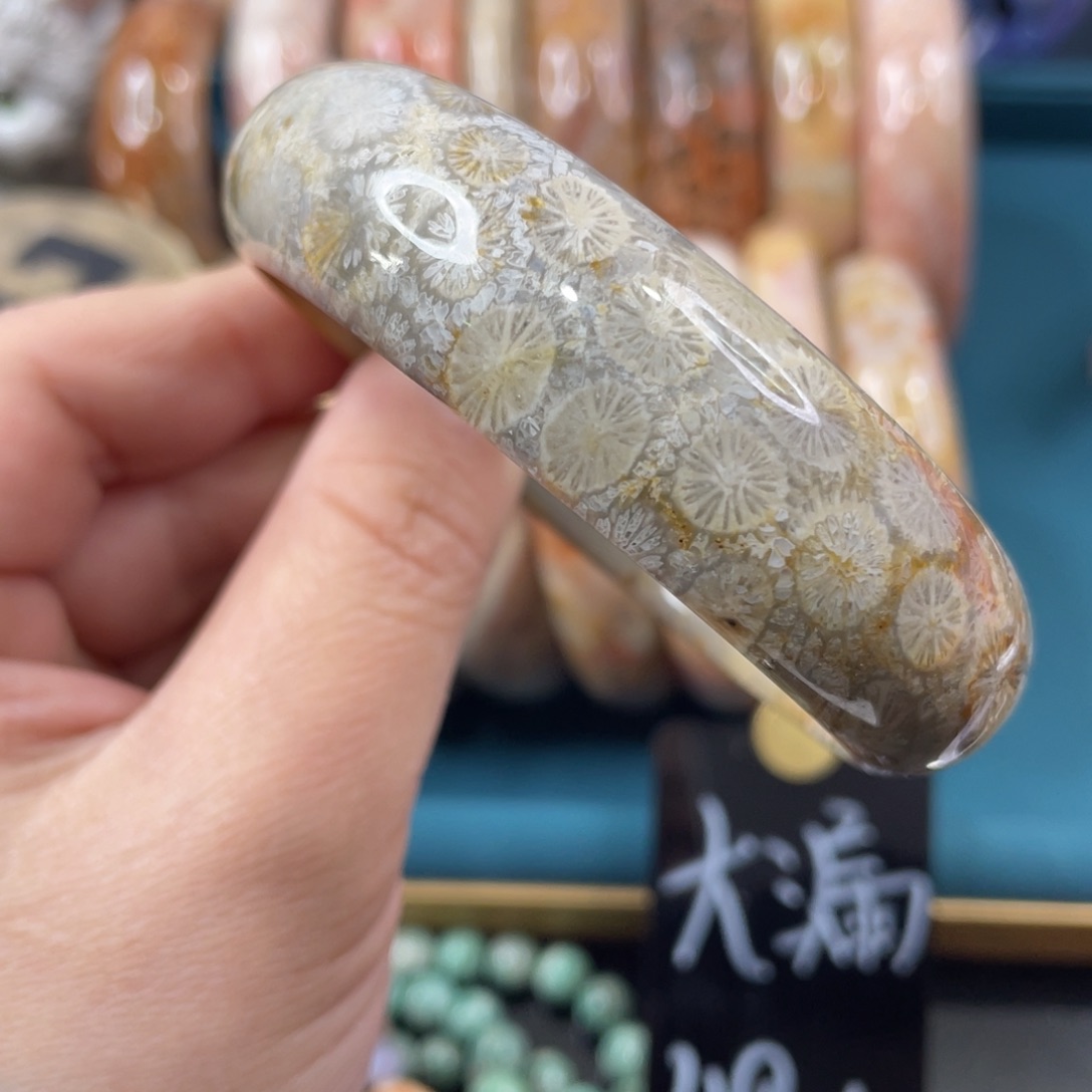 未镶嵌手镯硅化玉