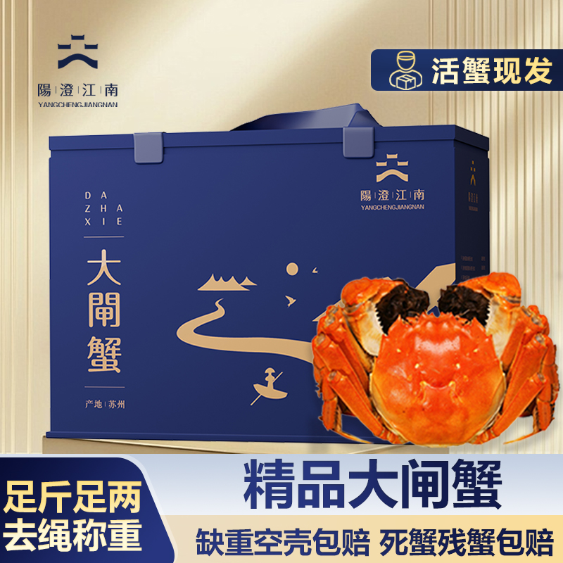 【活蟹】阳澄江南精品大闸蟹公蟹5.0两8只礼盒装LY