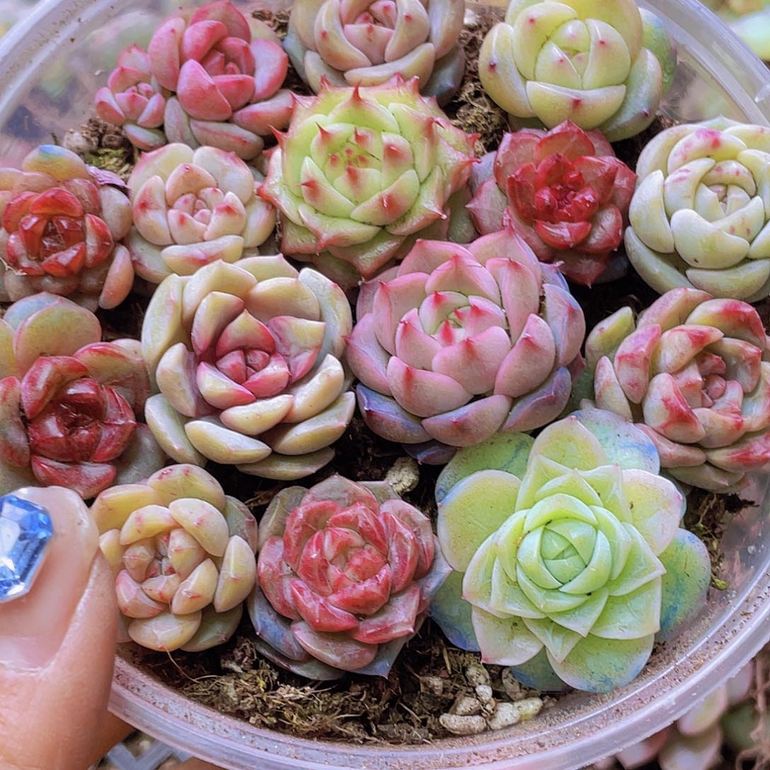 18号0000000000000000