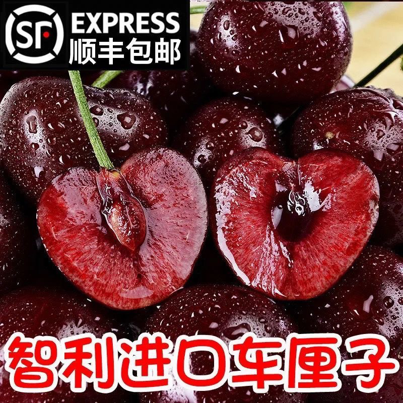 11.13现货顺丰京东明日达【5斤装】TY智利进口空运 车厘子J-4J新鲜水果桑提娜樱桃桑提娜樱桃智利共和国