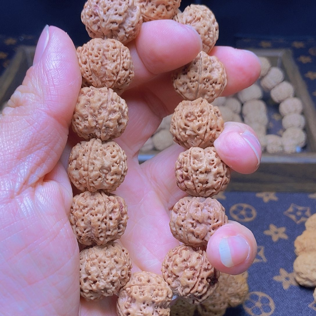 金刚菩提把件5瓣21粗筋双龙