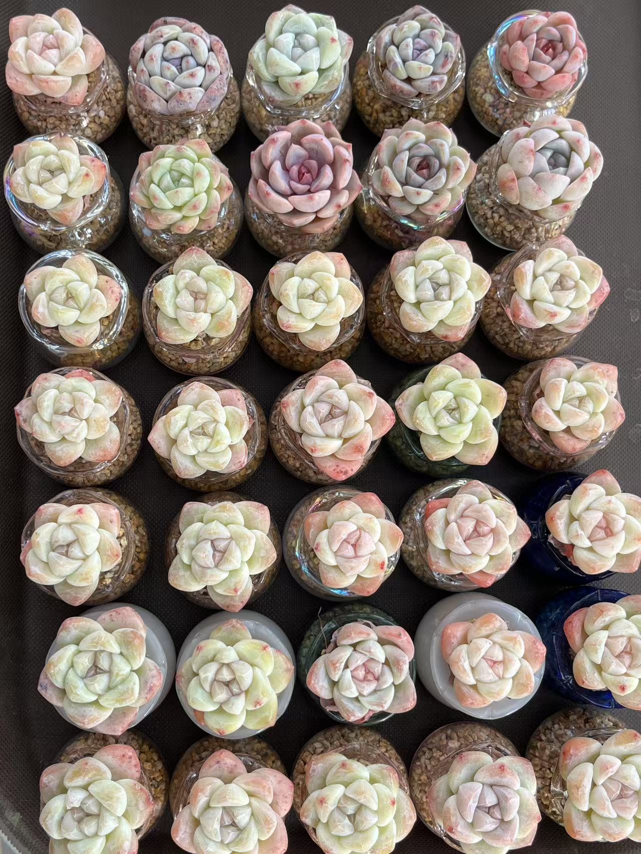 玻璃瓶多肉成品链接