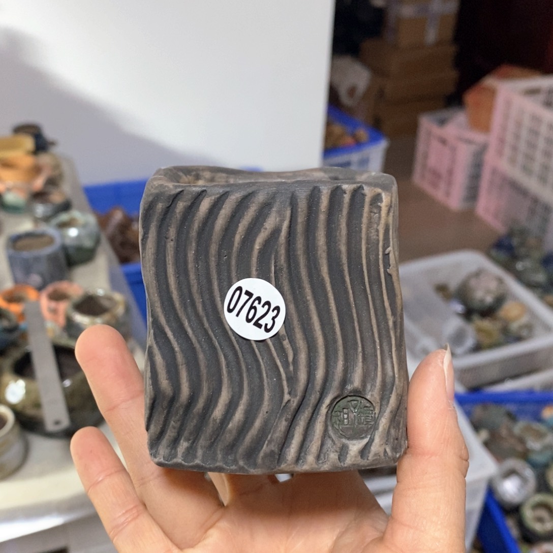 朋*花盆拍3送一个小礼物