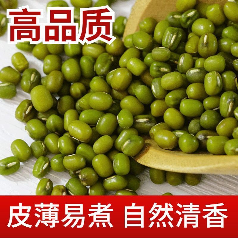 新鲜绿豆农家自种薄皮绿豆发豆芽专用五谷杂粮