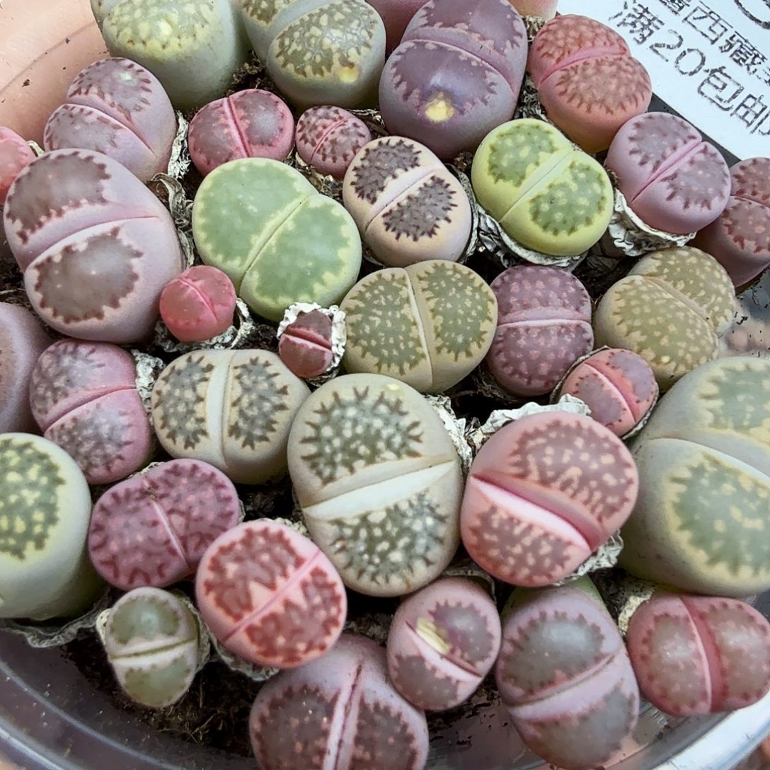 就可以去你哪里的吗634