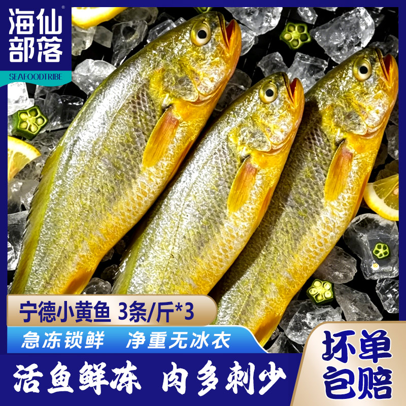 福建宁德黄鱼新鲜捕捞小黄花鱼3条/斤*3 生态深海鱼冷冻海鲜水产