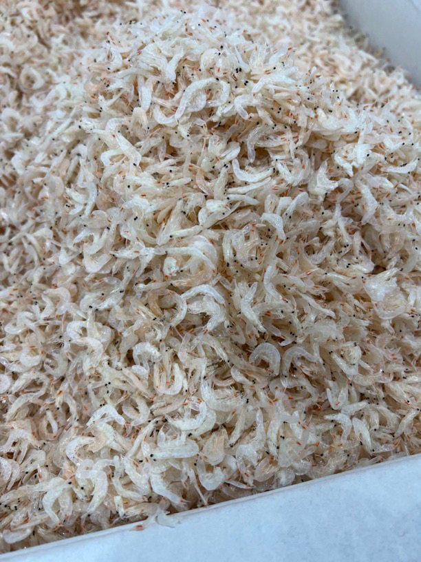 笏石林粦推荐淡干大虾皮