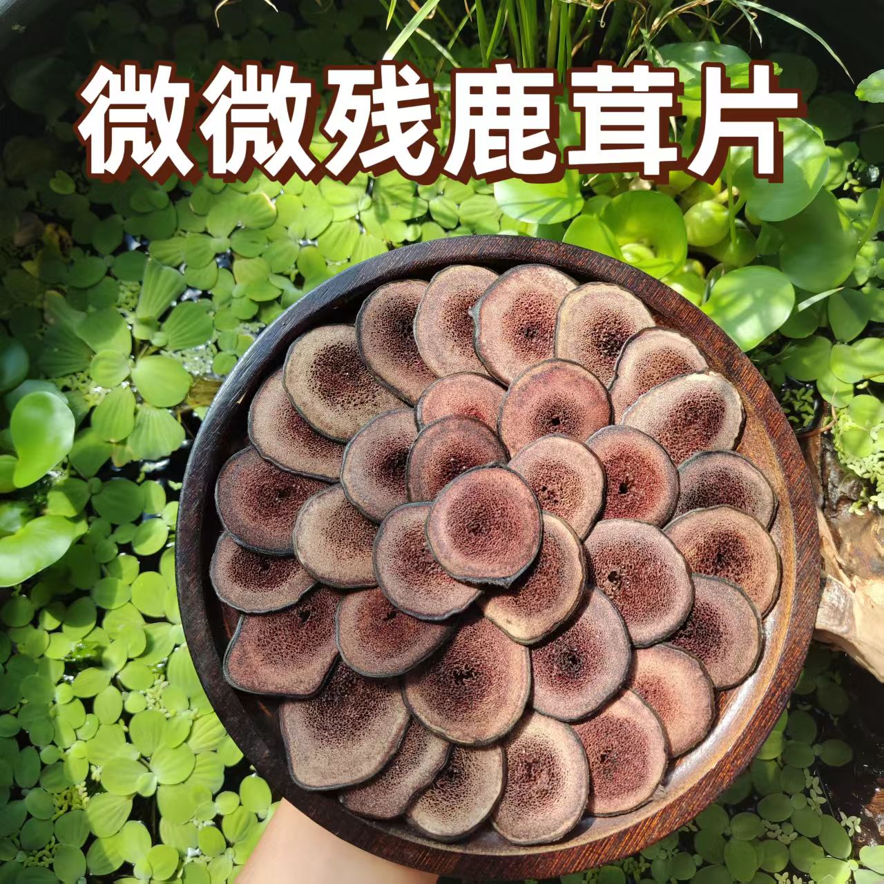 [一号链接同款微微残鹿茸片】50克送50克 性价比高 泡酒打粉 