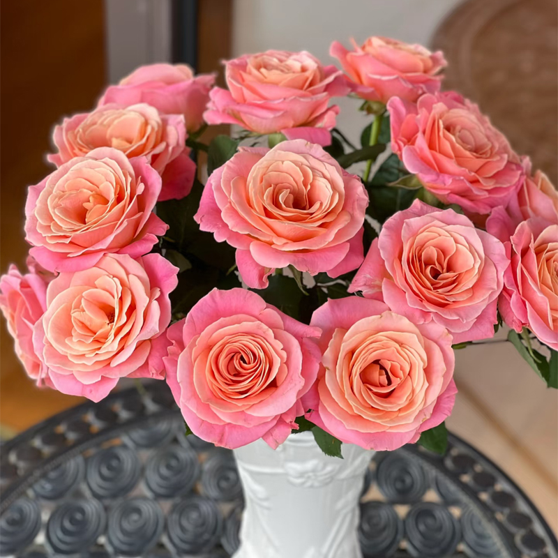 【朱小姐】单头玫瑰新鲜鲜花花束云南鲜花基地直发适合客厅装饰