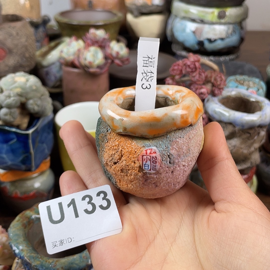 几***远恭喜中奖跨年福利 坛子姐花盆