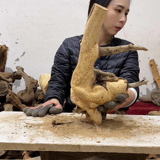 厚***原柏木我们都是好孩子