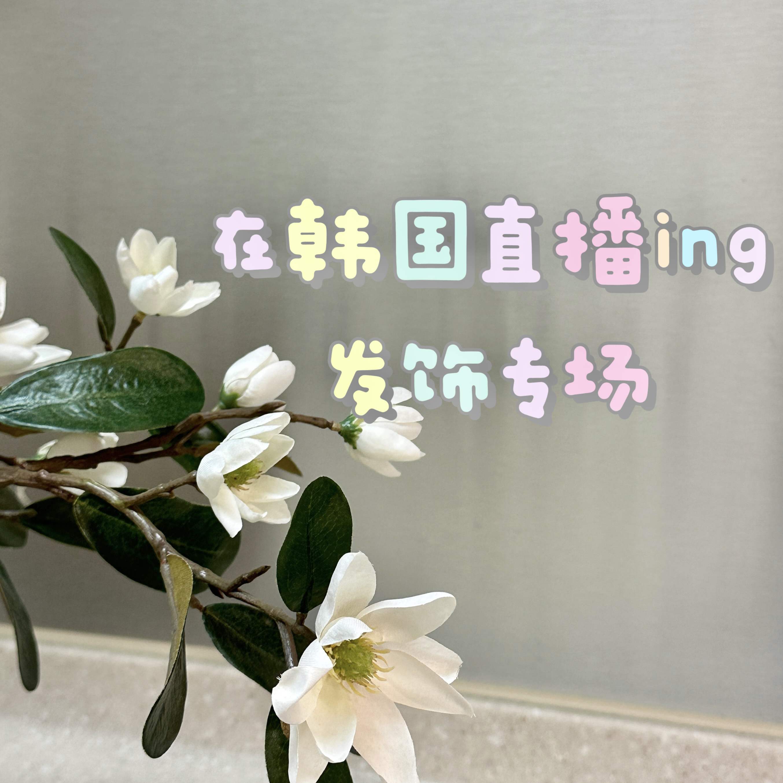 【201-400】超可爱韩国发饰（no退换）