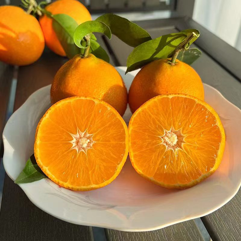 【小秦农品甄选】爱媛38号 带箱5斤装小果