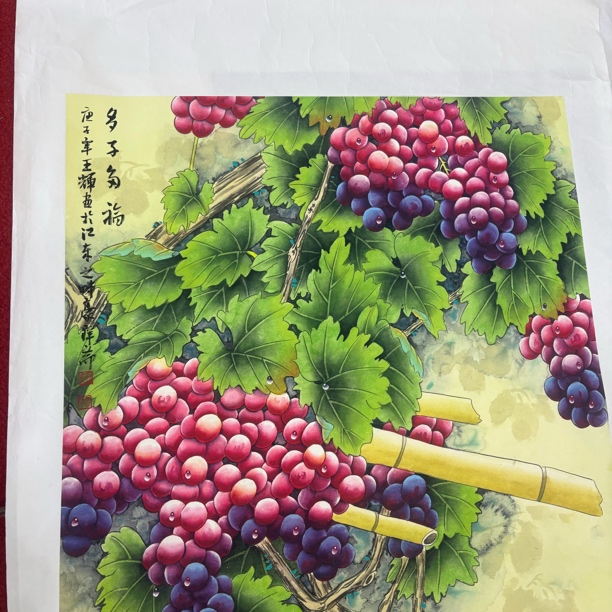 精品花鸟作品111