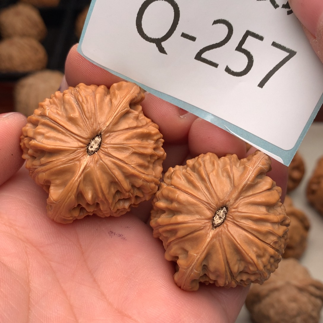 文玩核桃把件42磨盘………