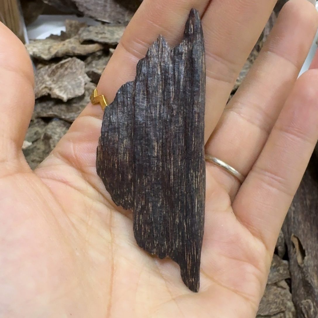 勤***范沉香碎屑沉香海南沉香高油瓜子虫漏4.8克