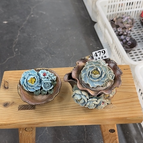 小***尼山泉造物手工制作柴烧479一套