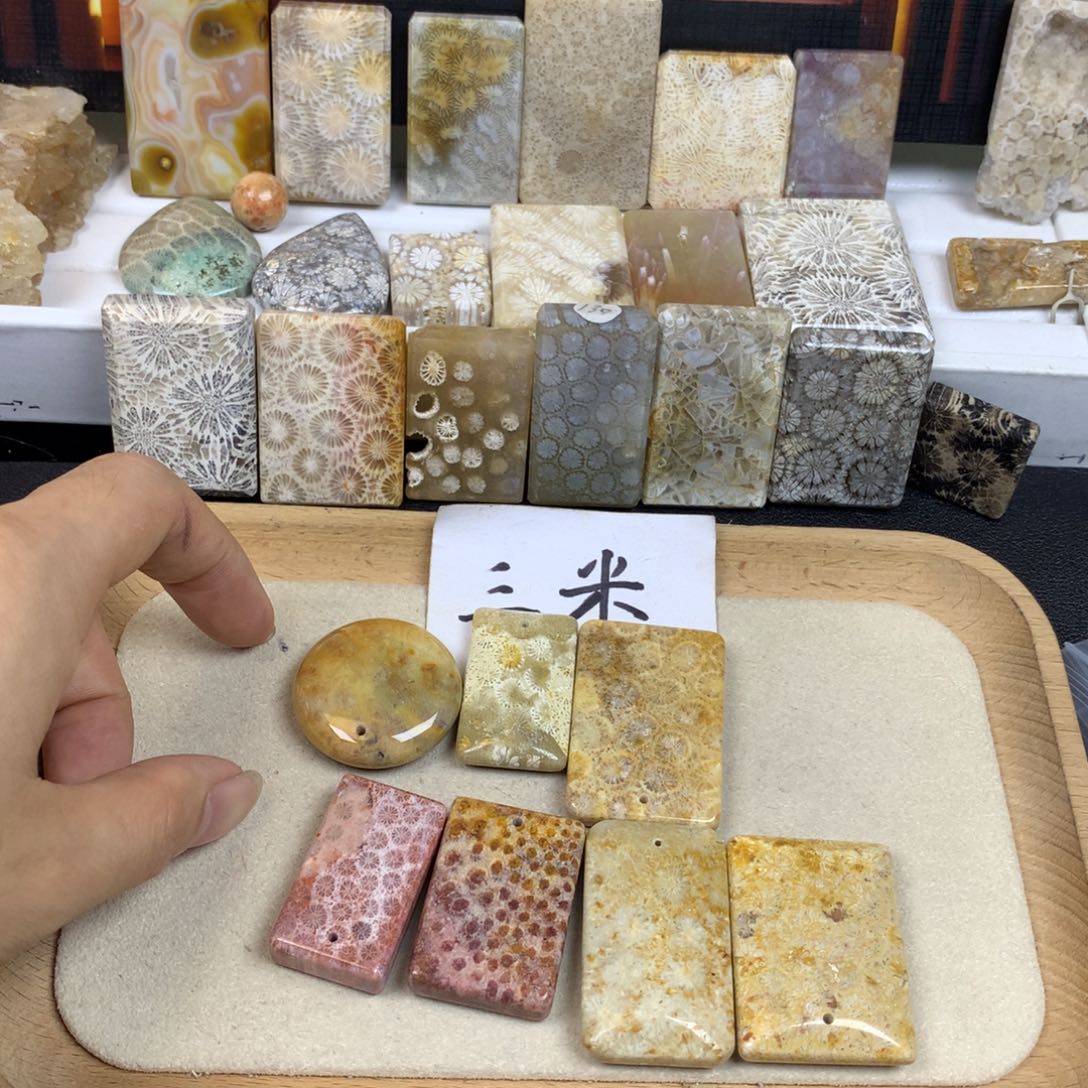 叶***）未镶嵌无硅化珊瑚（珊瑚玉）