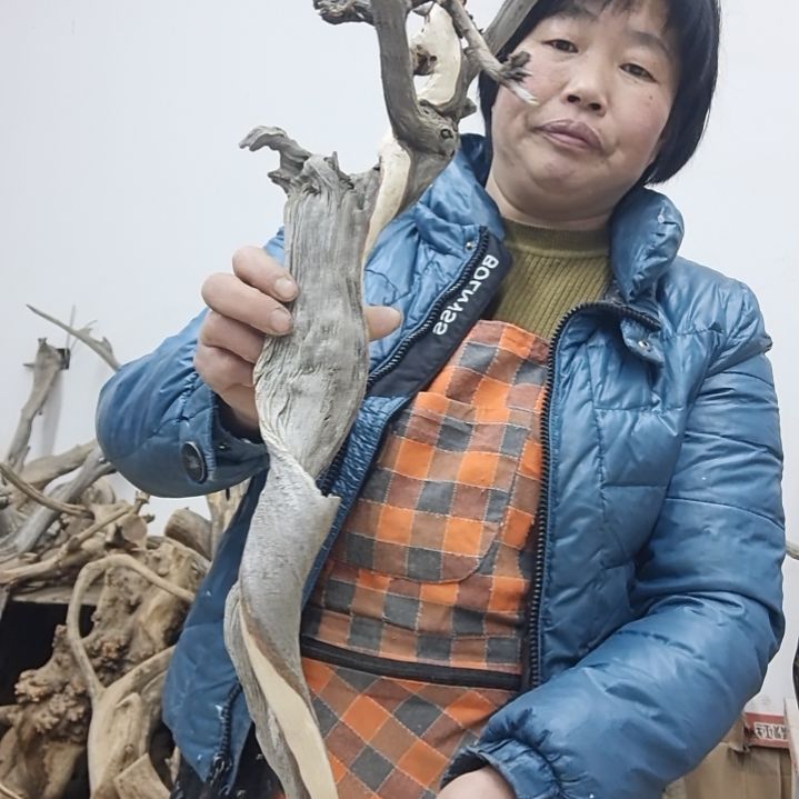 风车木（黑檀木）星****人