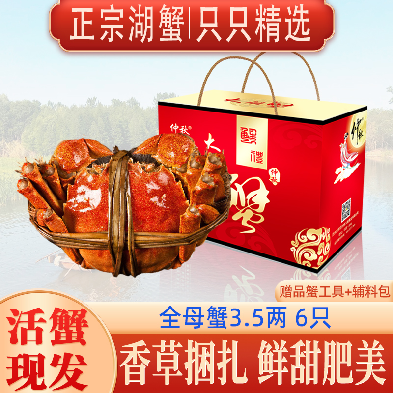 【活蟹】全母蟹3.5两买4只送2只精品大闸蟹鲜活现货螃蟹礼盒装