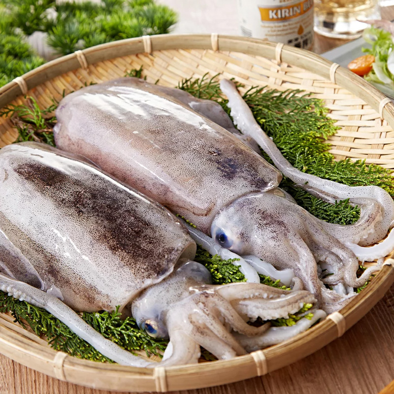福建海鲜 软丝鱿鱼（介意个别颜色不好看破皮勿拍）京东顺丰发货