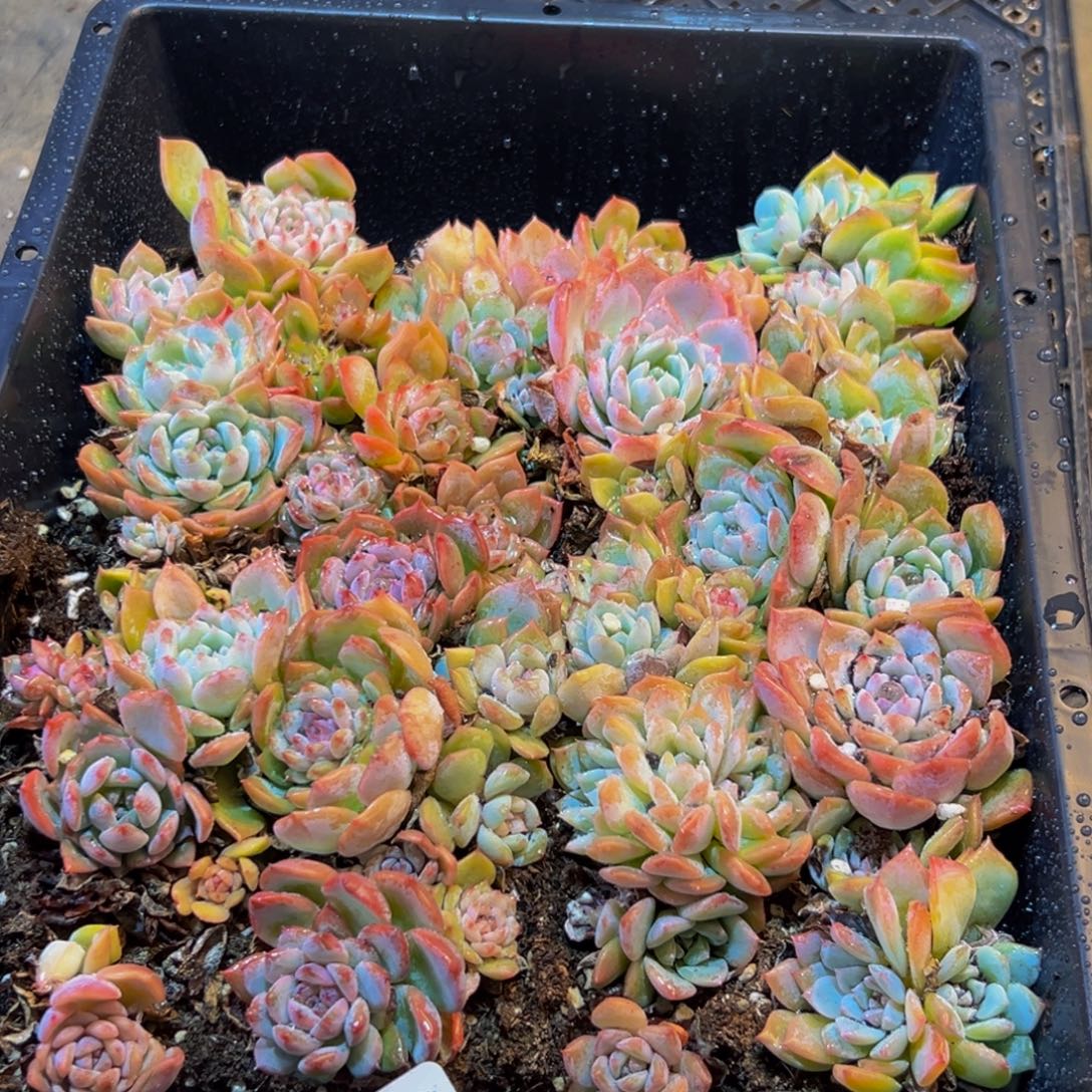 204的最后一天了啊我的