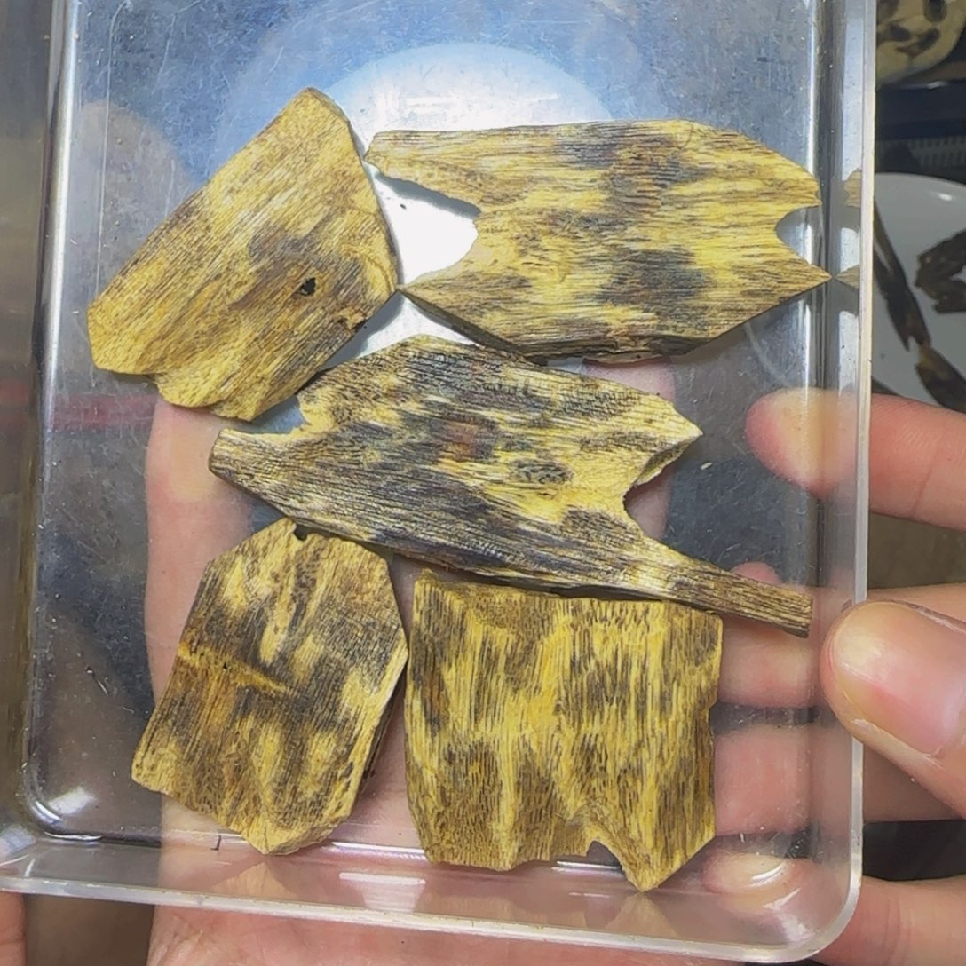 吴***虑沉香陆河块料发一份