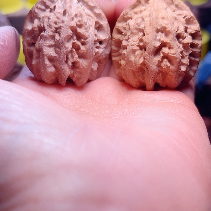 核桃46号车fanglouloulou