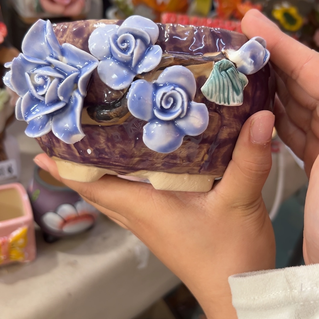 花盆，满20发货爱退款拉黑24119