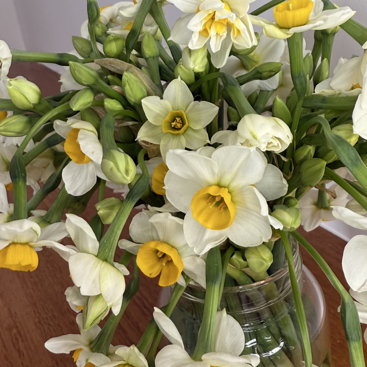 浓香水仙花鲜切花水养易活家用办公插花装饰