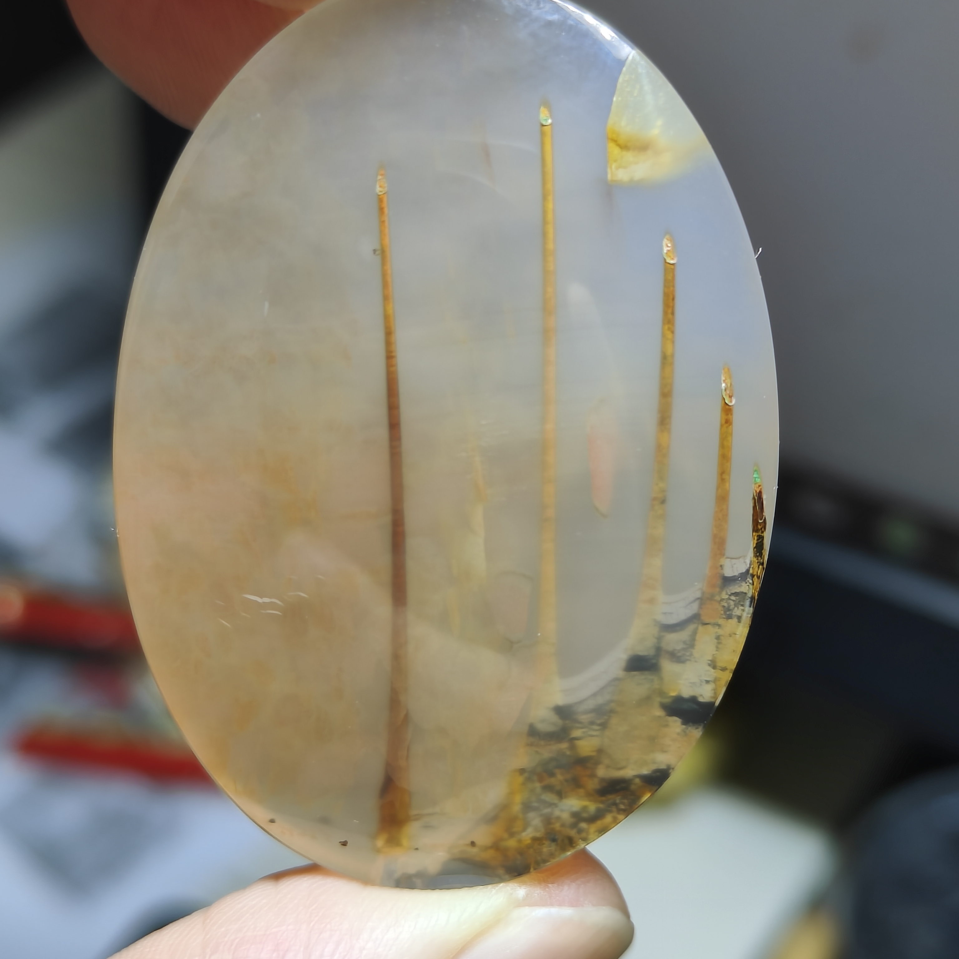 天然象形图案画面 管子发绿叶 寓意富贵 尺寸49*35*9