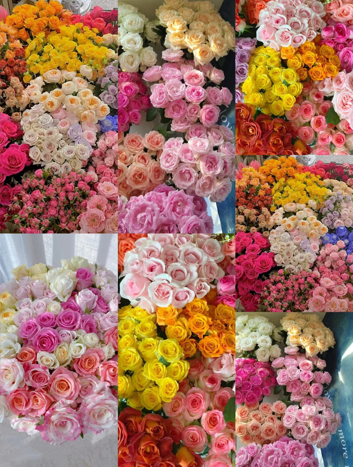 【玫瑰小盒】高品质玫瑰30支 颜色随机 全场鲜花任意满两单升级冷链