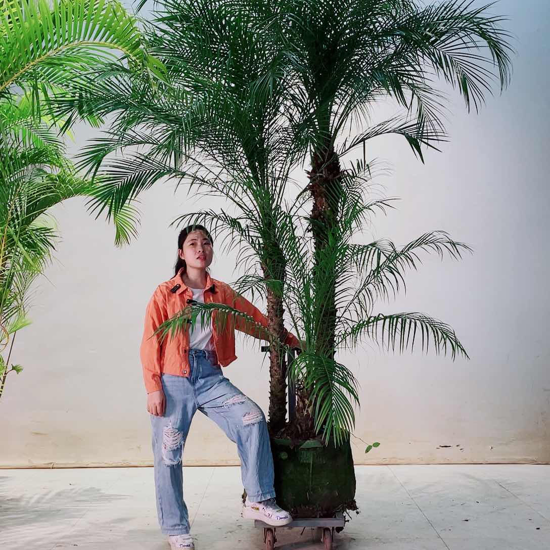 无花朵天**技8656765566