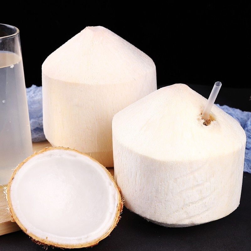 易开椰 新鲜椰青 1颗