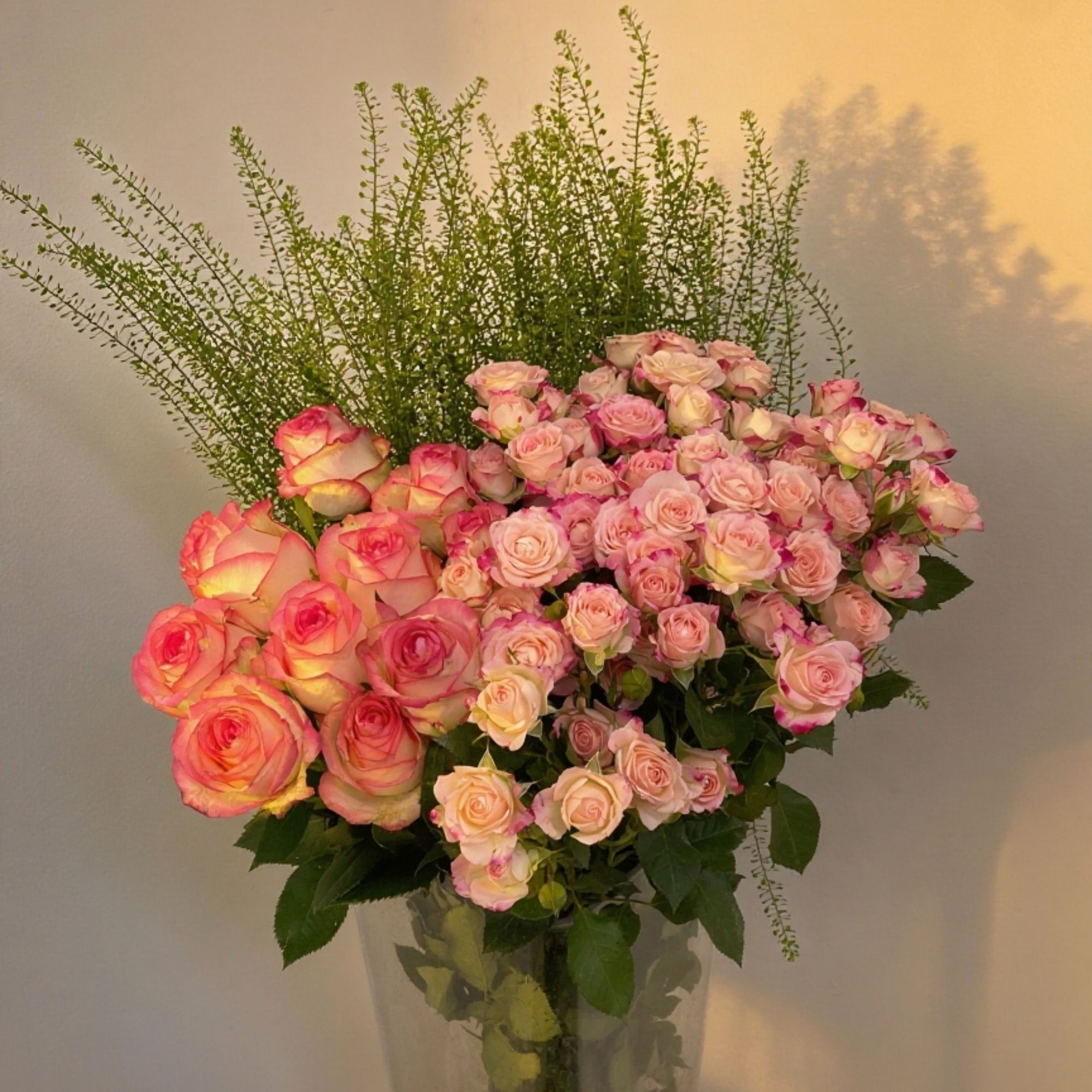 【超值套餐】【艾莎10支+折射泡泡10支+绿灵草1扎】任意2件顺丰