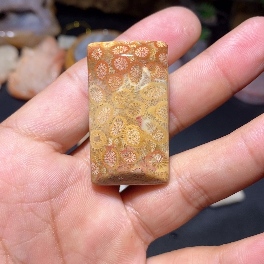 【闪购商品】硅化玉颈饰未镶嵌