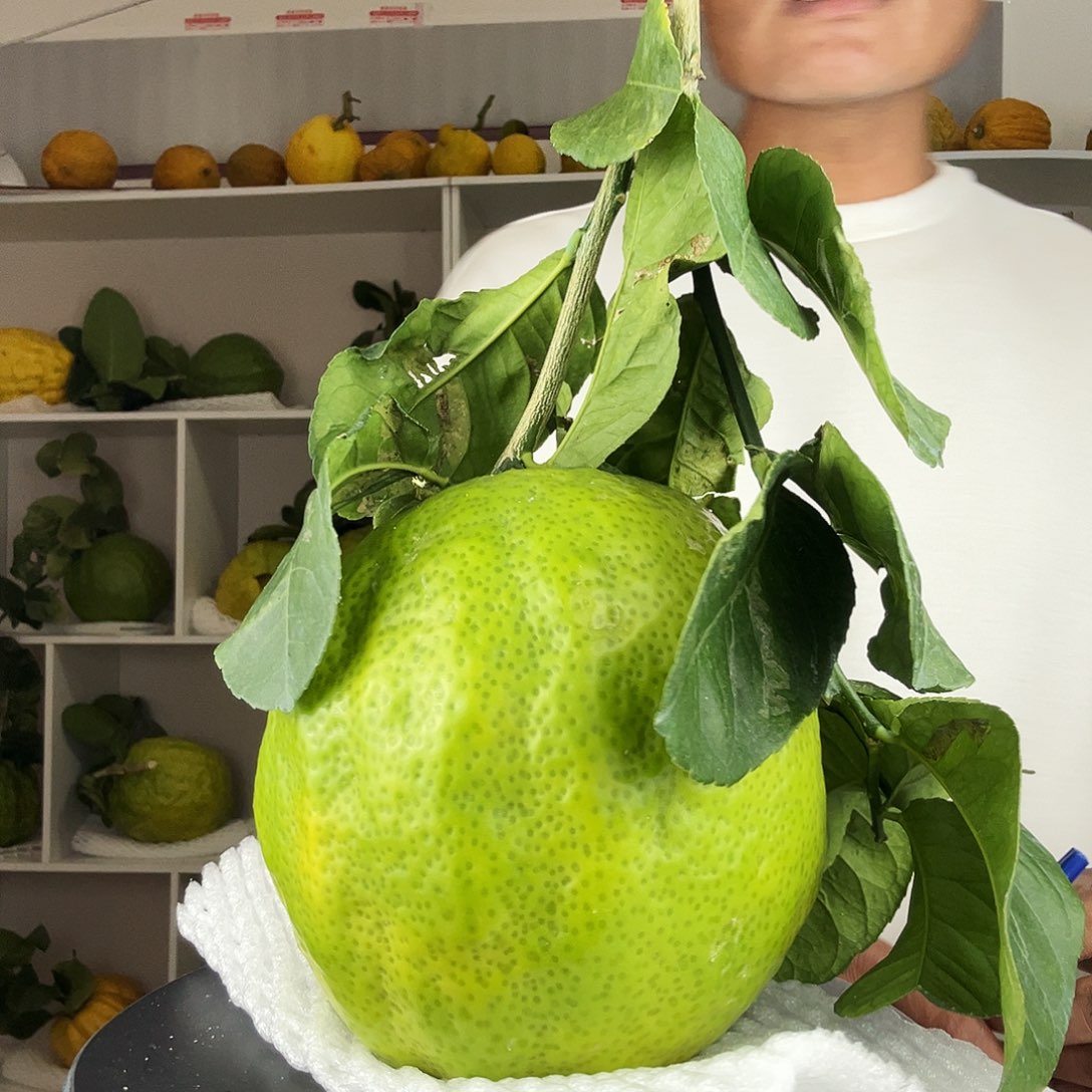 慧***！香水柠檬云南高山大香橼